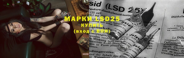mix Нефтекумск