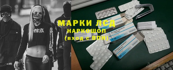 apvp Нея