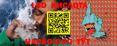 ГАЛЛЮЦИНОГЕННЫЕ ГРИБЫ Новозыбков