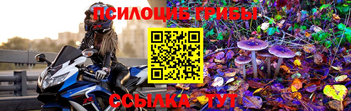 Галлюциногенные грибы прущие грибы  Галлюциногенные грибы прущие грибы  Пенза 