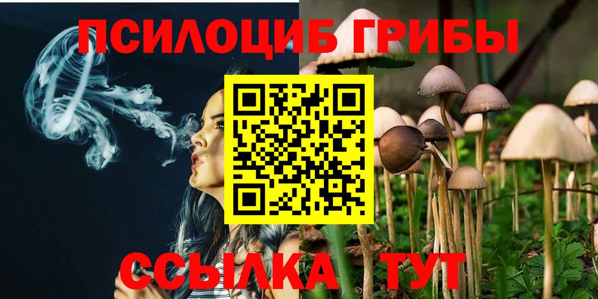 Галлюциногенные грибы прущие грибы  Пенза 